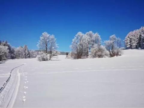 Vysočina v zimě